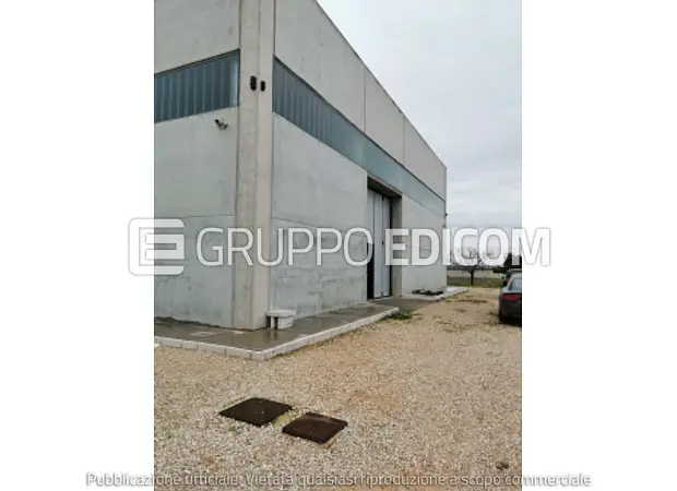 Fabbricati costruiti per esigenze industriali in Ctr. S. Caterina/Ctr. D’Aloia- SP 5 Lucera-Pontefortore - 1