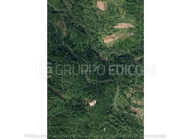 Terreno in Area montana alta Lunigiana, Località Torrano - 1