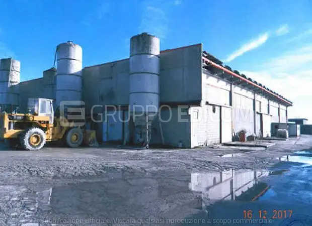 Fabbricati costruiti per esigenze industriali in Via Trieste, 139 - 140 - 141 - 1