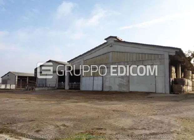 Fabbricati per attività agricole in Via Guglielmo Marconi, 19, 37060 Buttapietra VR, Italia - 1