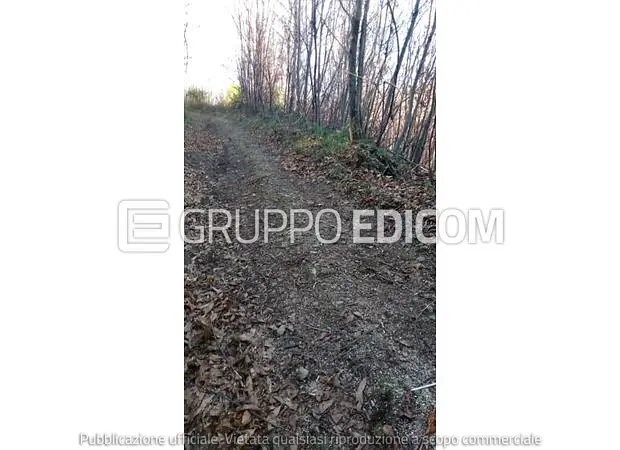 Terreno in strada provinciale, 35 - 1