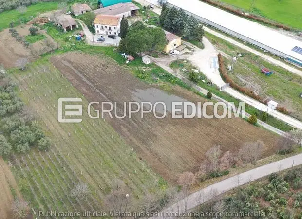 Stalle, scuderie, rimesse, autorimesse in località Contrada Casaldianni - 1